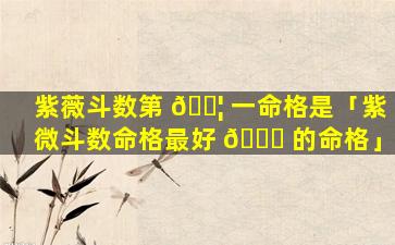 紫薇斗数第 🐦 一命格是「紫微斗数命格最好 🐈 的命格」